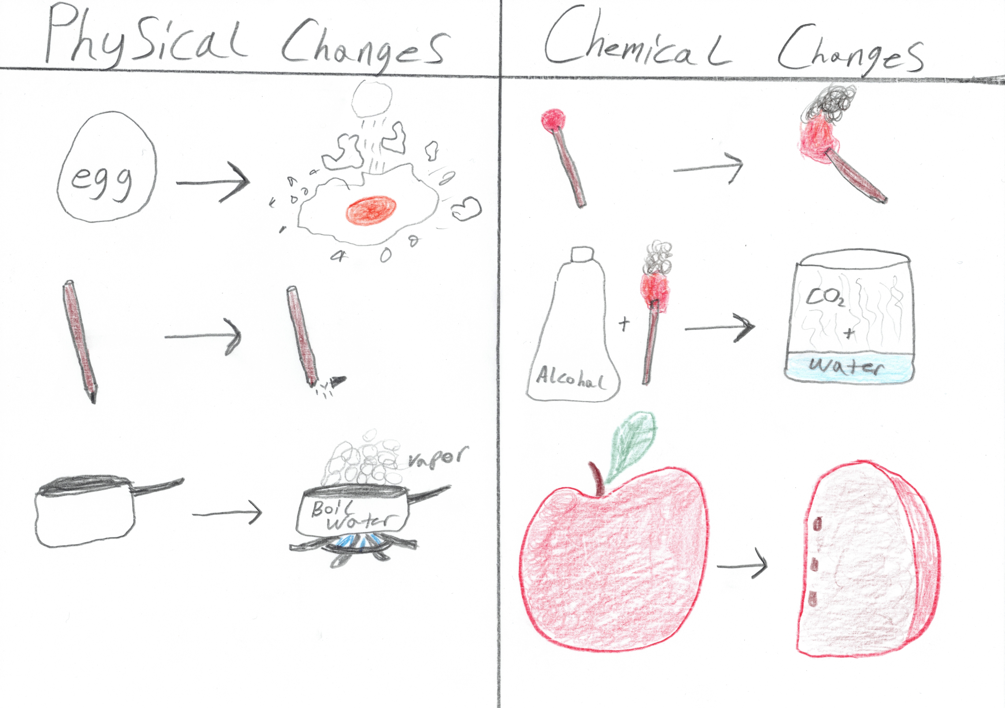 Chemical vs Physical changes